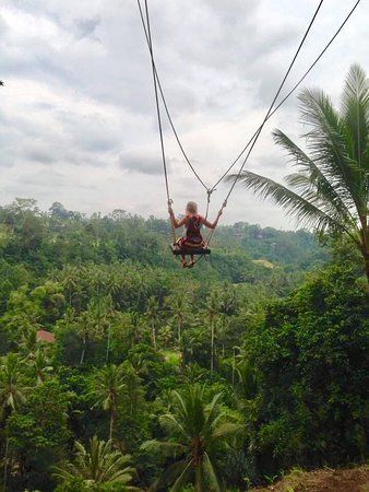 Mastadon reccomend Swinging couples indonesia
