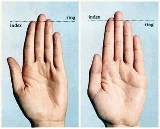 Ring finger length and sex