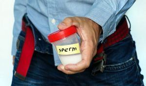 Effects of saliva on sperm