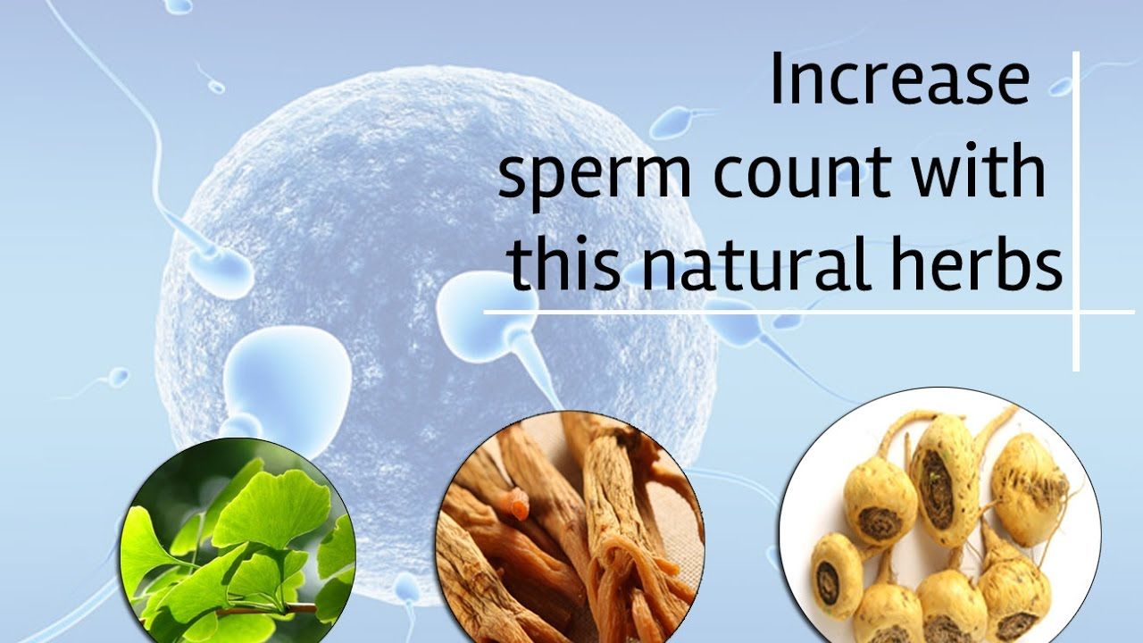 Basecamp reccomend Treatment for sperm count
