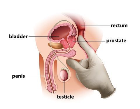 Flea F. reccomend Orgasm and prostate