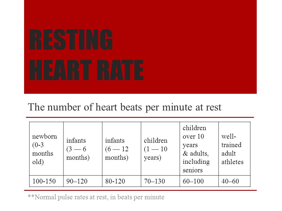 best of Heart minute Adult beat per