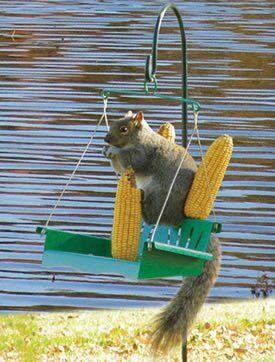 Swinging squirrel guard