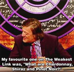 Weakest link funny answers