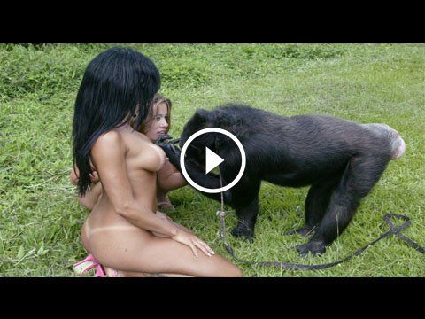 best of With chimp sex Girl