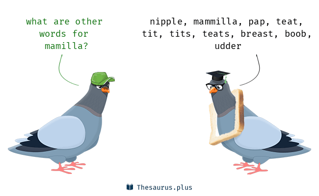 best of Words tits Other for