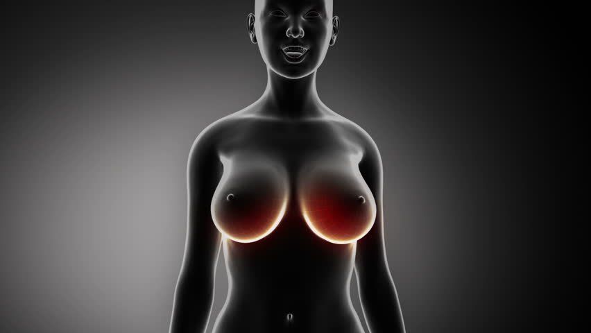 Zenith reccomend New breast video
