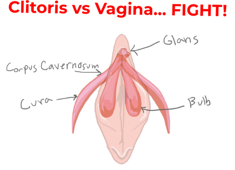best of A womens clitoris of Medical pictures