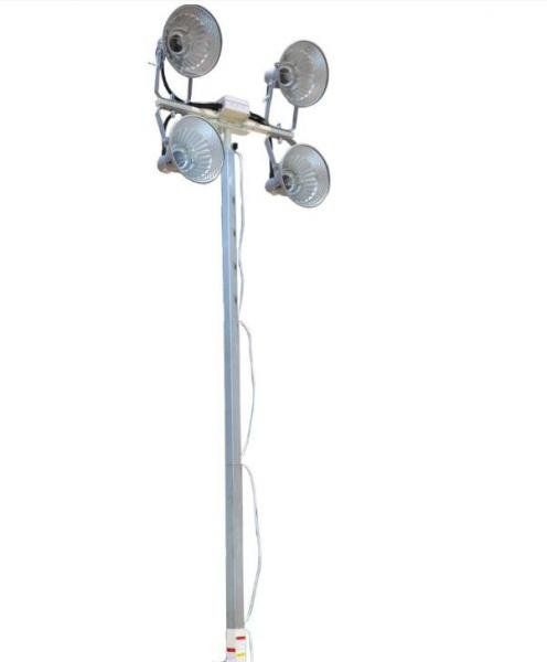 Adult shower mast
