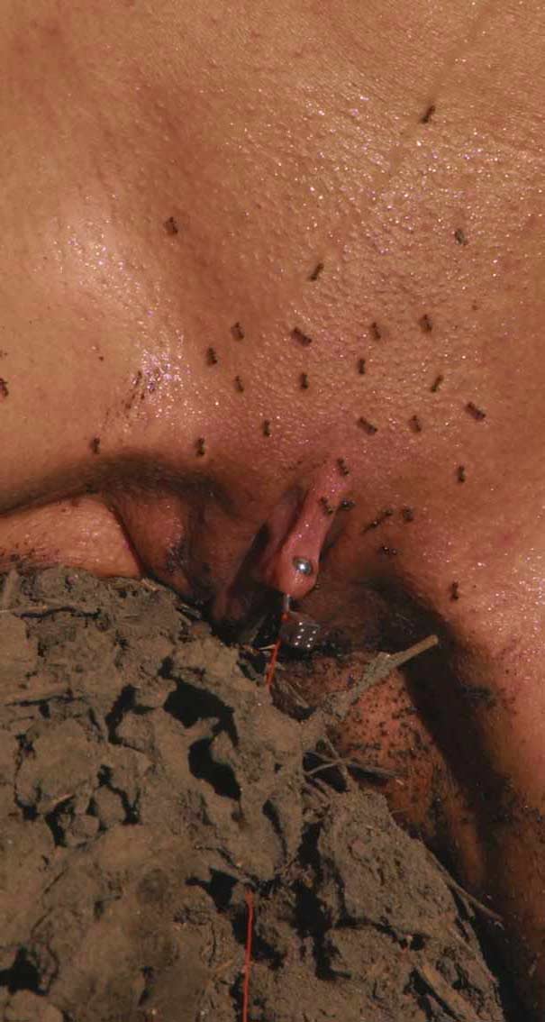 Lucy L. reccomend her pussy in Ants