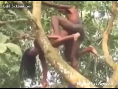 Ape fucks black girl
