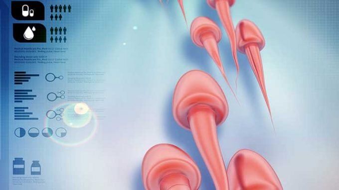 best of Sperm Artificial insemination