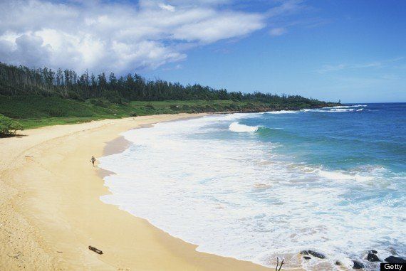 Luna reccomend Oahu nudist beach