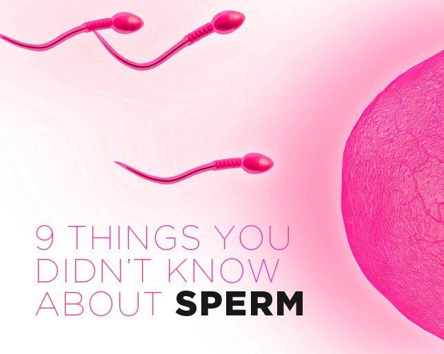Fuzz reccomend Have more sperm fact