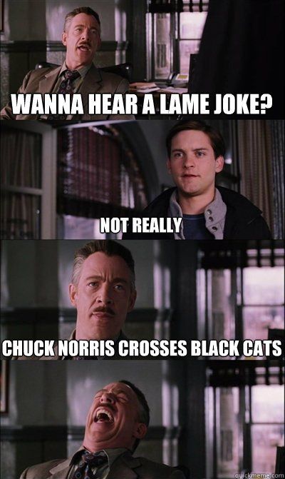 best of Jokes cat Chuck norris