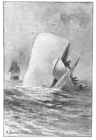Green T. reccomend Moby dick chapter analysis and discussion