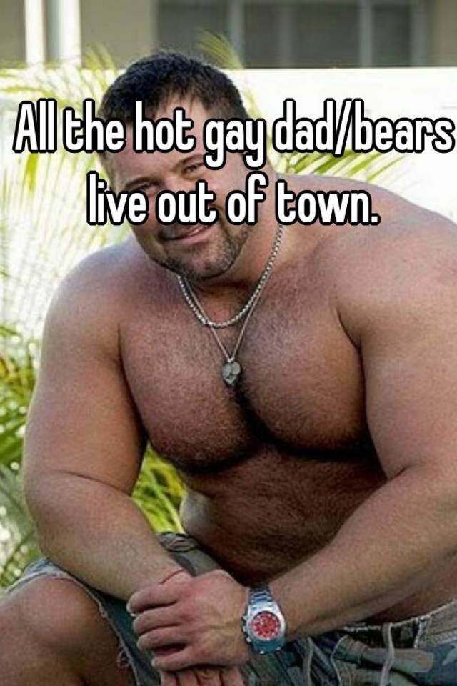 best of Dad Bear pic gay