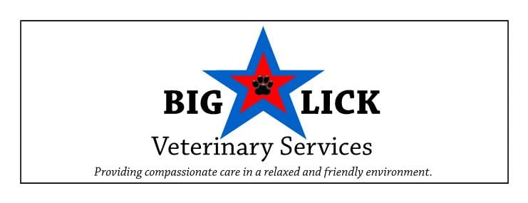 Big lick veterinary