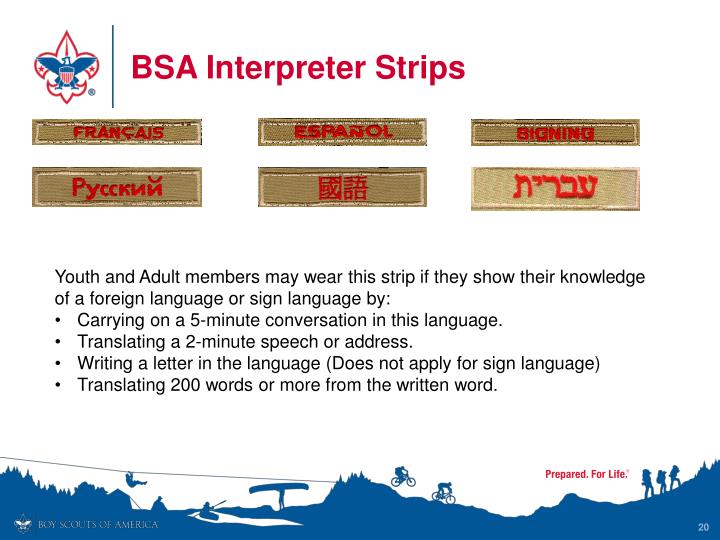 Mustang reccomend Bsa interpreter strip