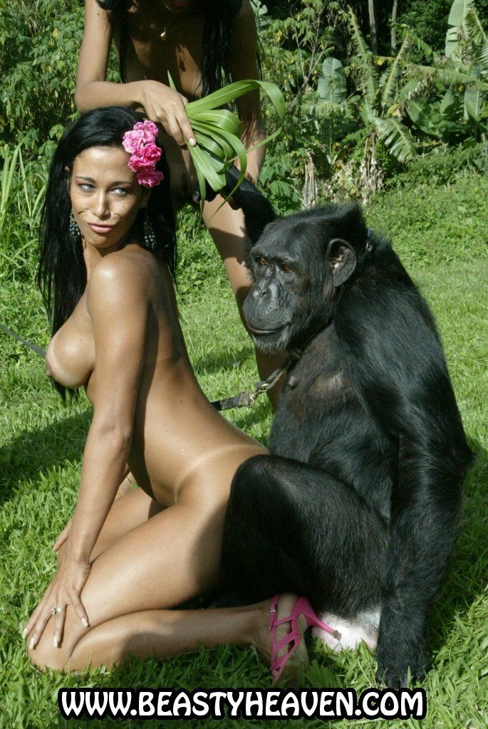 best of Video girl Chimpanzee and sex