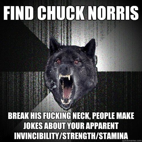 Chuck norris cat jokes