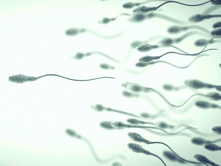 Trouble reccomend Clomid increase amount men sperm