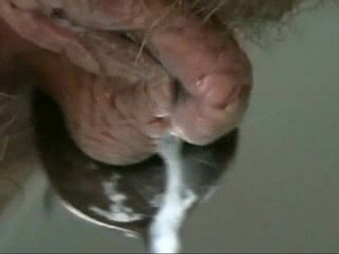 Epiphany reccomend Creamy hairy pussy juice orgasm