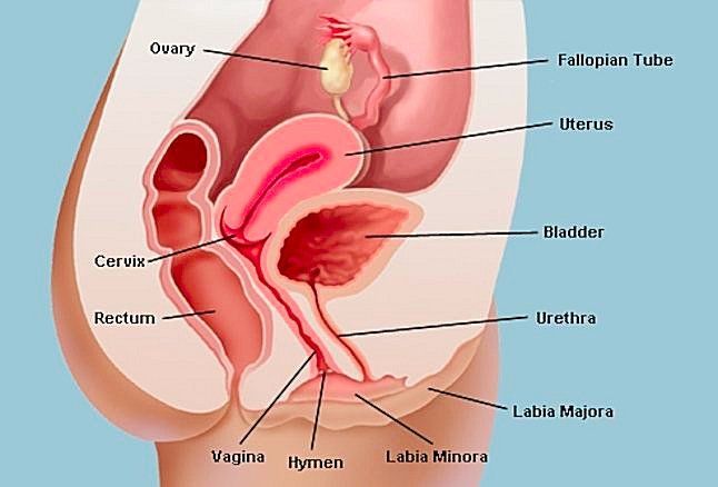 Deep Penetration: 9 Positions + Secret Tips For Deep, Full-Body Orgasms