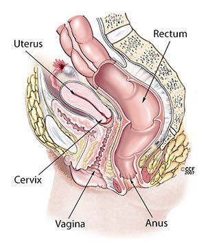 D c vagina surgery