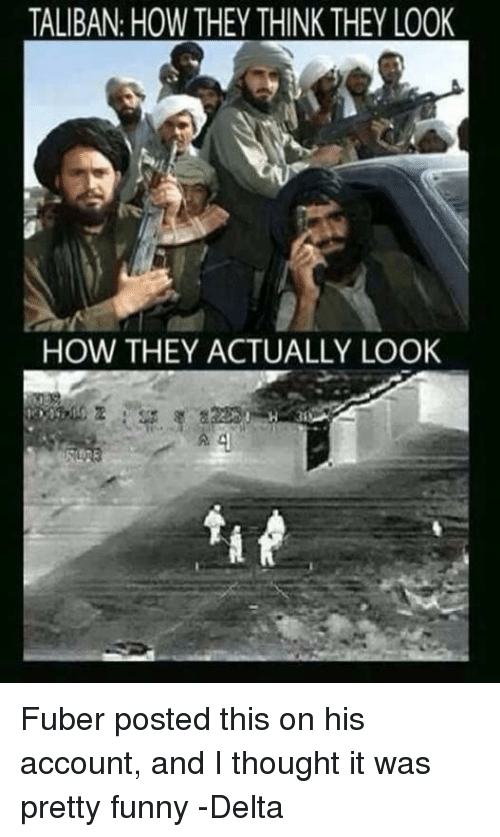 Meatball reccomend Taliban funny pic