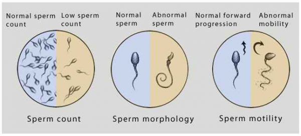 best of Sperm wash Athome