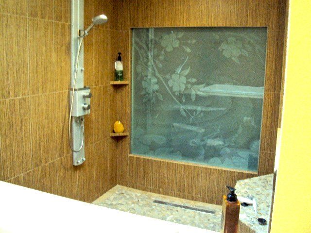 Glass tub shower divider asian