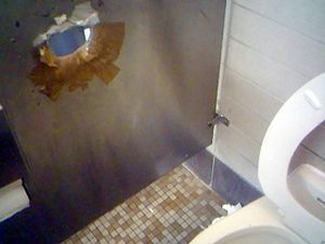 Inspector reccomend Gloryhole in toilet stall