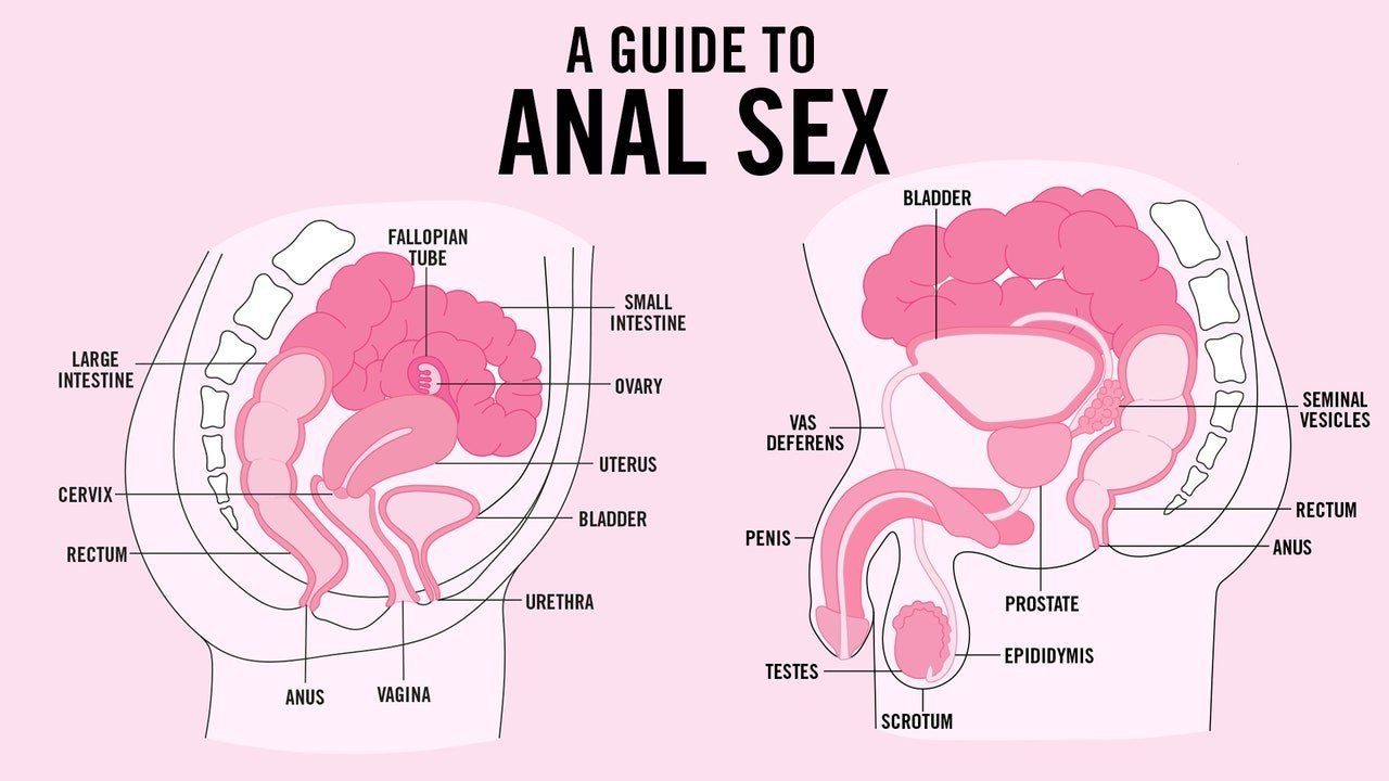 Con to anal sex
