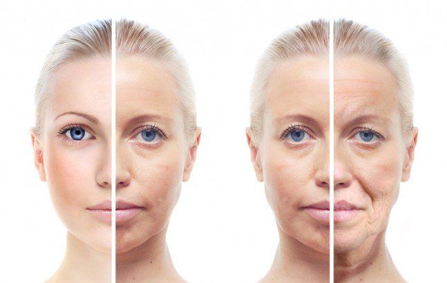 Does collagen in skin cream penetrate