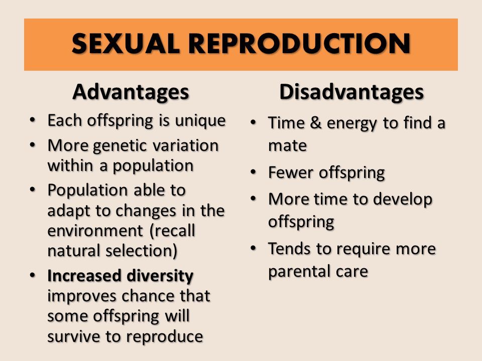 Advantages and disadvantages of sex