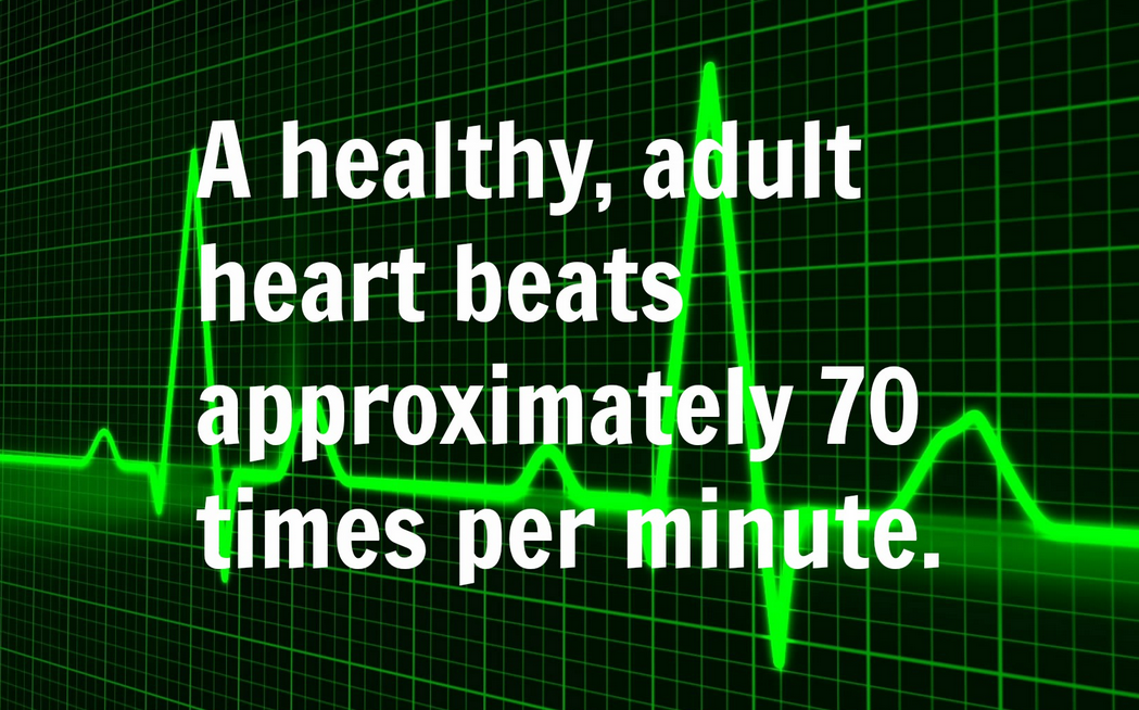 best of Heart minute Adult beat per