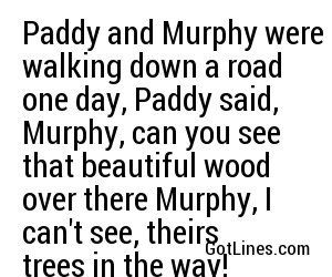 best of Short murphy jokes Paddy and