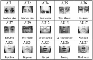 Facial action coding system software