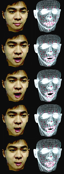 Petal reccomend Facial animation parameter
