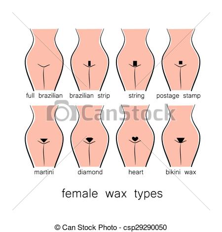 Chewbacca reccomend Female bikini wax