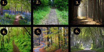 best of In walk woods the test Personality