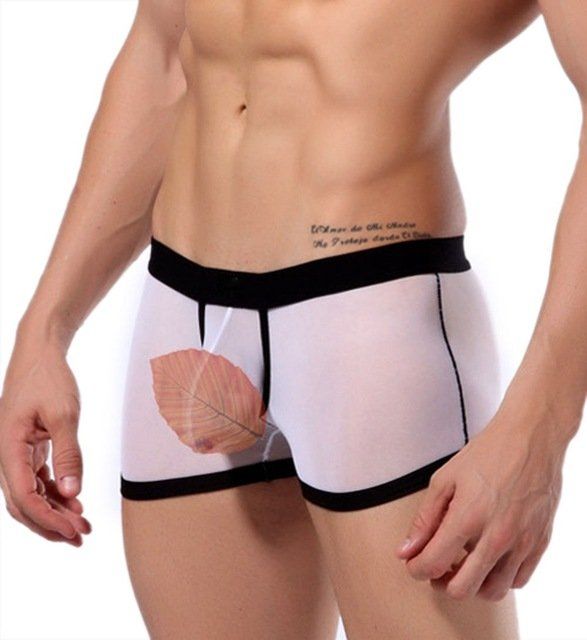 Cosmos reccomend Free male erotic underwear pictures