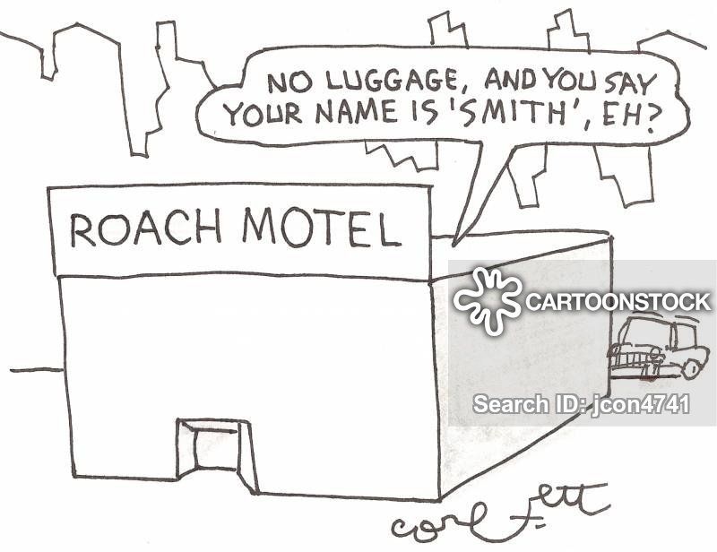 Snapdragon reccomend Funny names for motels