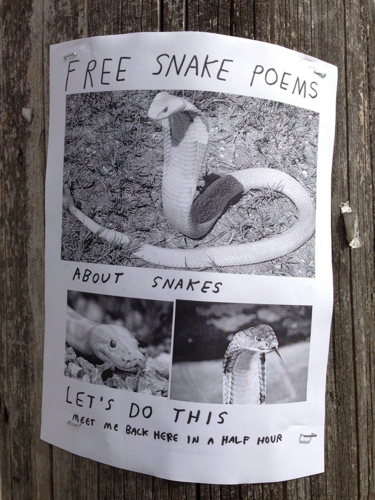 Funny toucan poem
