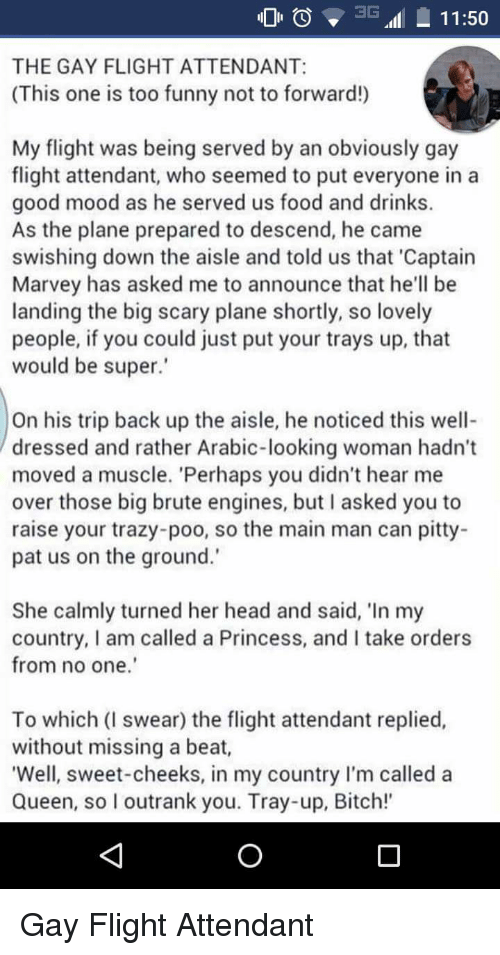 best of Funny Gay flight attendant