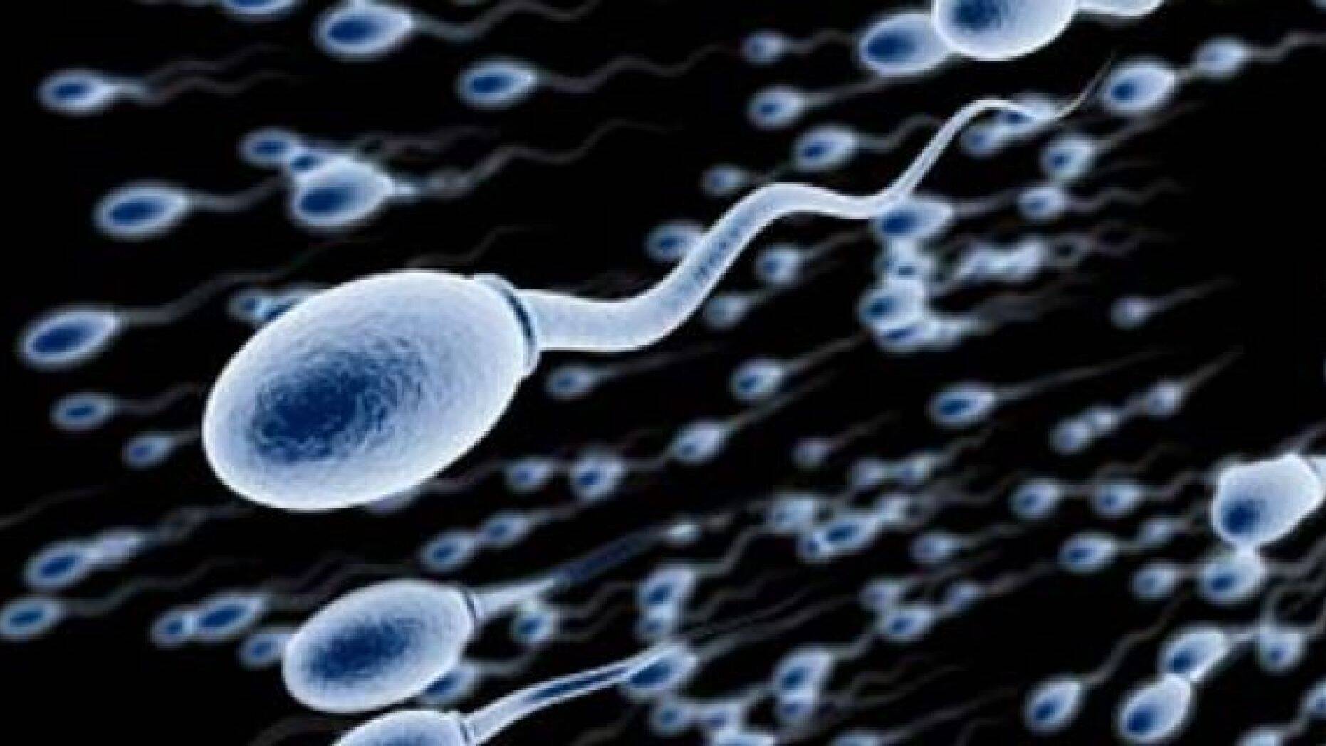 best of Sperm Getting healthy
