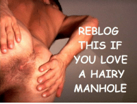 best of Hole Hairy man