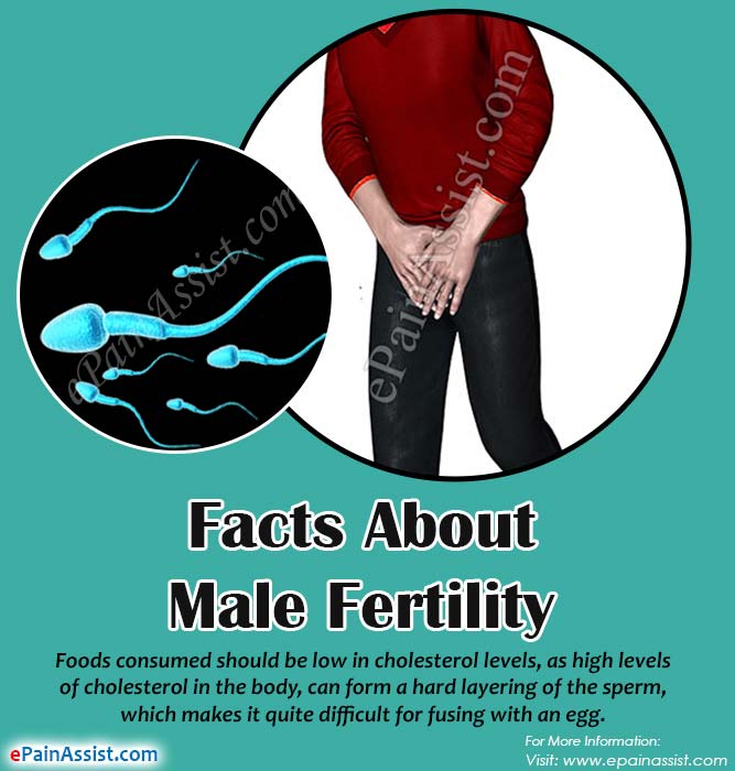 Sherry reccomend Have more sperm fact