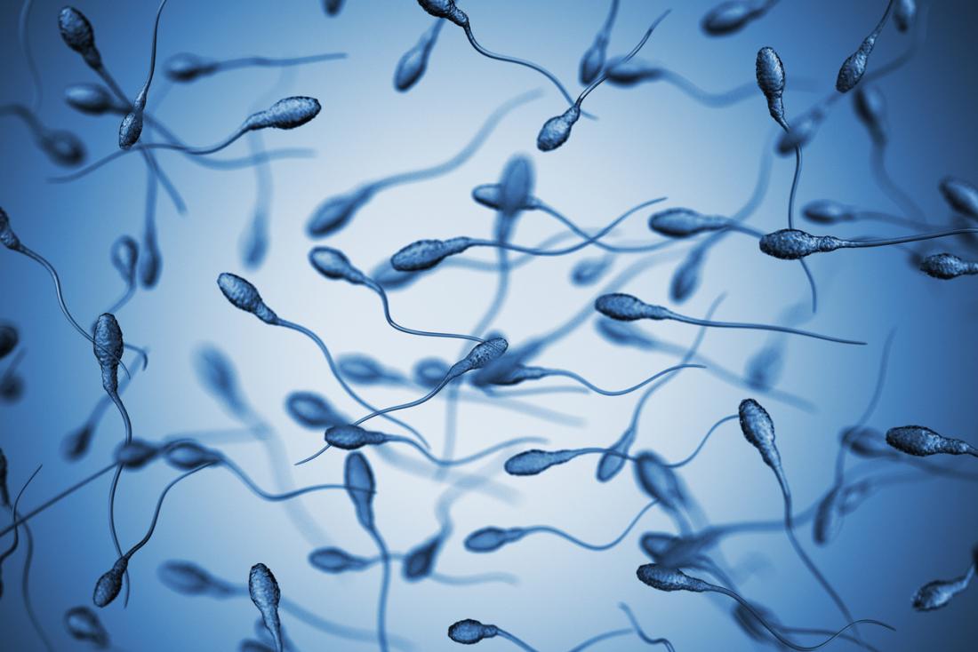 Have more sperm fact